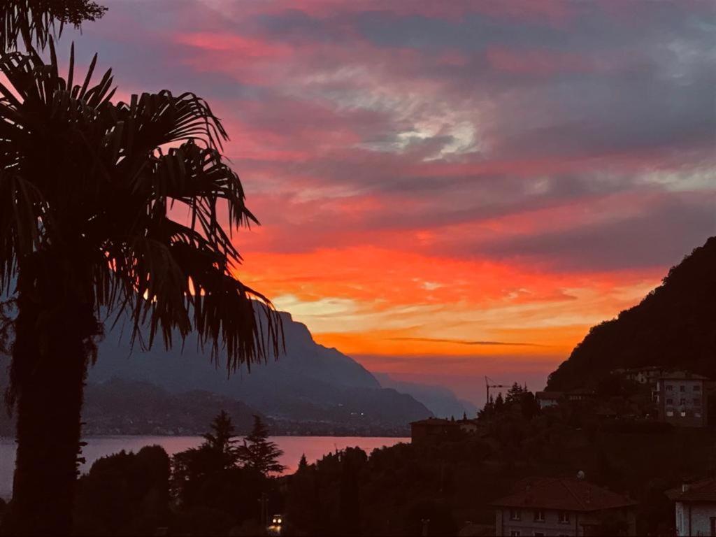Villa Mojana Bellagio Oliveto Lario Zewnętrze zdjęcie